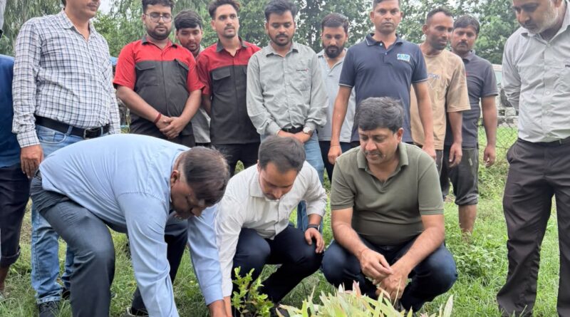 एलएससी इन्फ्राटेक लि. द्वारा किच्छा बाईपास रूद्रपुर में किया गया वृक्षारोपण।ग्रुप के निदेशक अभिषेक अग्रवाल एवं जिला खान अधिकारी  मनीष परिहार की अगुवाई में वृक्षारोपण कर लिया संरक्षण का संकल्प