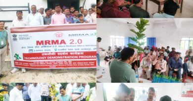 राजकीय रेशम फॉर्म उम्मेदपुर,औरैया में एक तकनीकी प्रदर्शन कार्यक्रम आयोजित।क्षेत्र के 55 किसानों को वैज्ञानिक छत्रपाल ने दी तकनीकी जानकारी 