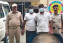 *ऑपरेशन प्रहार अभियान के तहत कोतवाली गदरपुर पुलिस की कार्यवाही दो अभियुक्तगणों को 21 दुर्लभ प्रजाति इण्डियन सॉफ्टशेल (निलसोनिया गेंगटिका) , (लिससेमिस पंक्टाटा) के साथ गिरफ्तार किया गया*