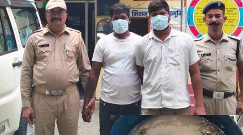 *ऑपरेशन प्रहार अभियान के तहत कोतवाली गदरपुर पुलिस की कार्यवाही दो अभियुक्तगणों को 21 दुर्लभ प्रजाति इण्डियन सॉफ्टशेल (निलसोनिया गेंगटिका) , (लिससेमिस पंक्टाटा) के साथ गिरफ्तार किया गया*
