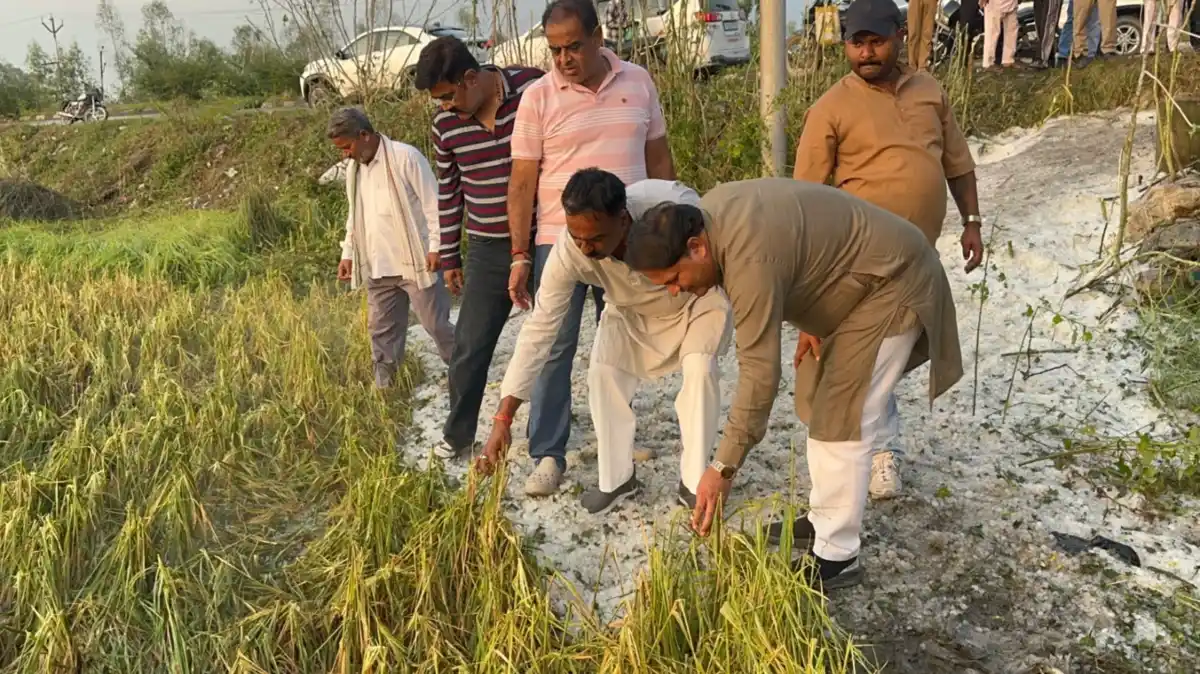 किसानों को मुआवजा और पैकेज दिलाने की पहल करेंगे महापौर।डीएम से वार्ता के बाद खेतों में पहुंचे महापौर, एसडीएम के साथ किया मौका मुआयना।किसानों को परेशान नहीं होने देगी धामी सरकार, मुख्यमंत्री को बताई जाएगी आपदा की पूरी स्थिति : विकास शर्मा