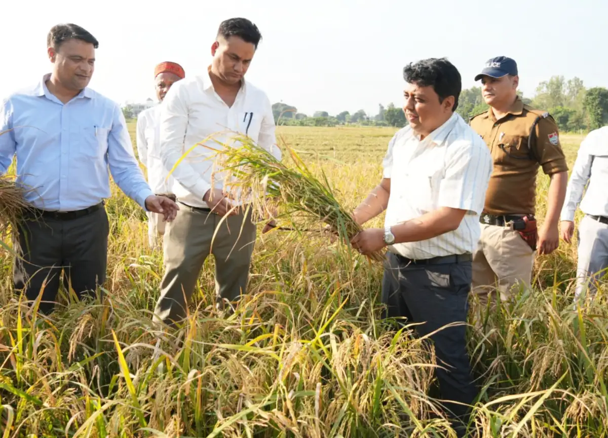 धान फसल की उत्पादकता की जांच के लिए जिलाधिकारी नितिन सिंह भदौरिया ने खेत में की क्राॅप कटिंग